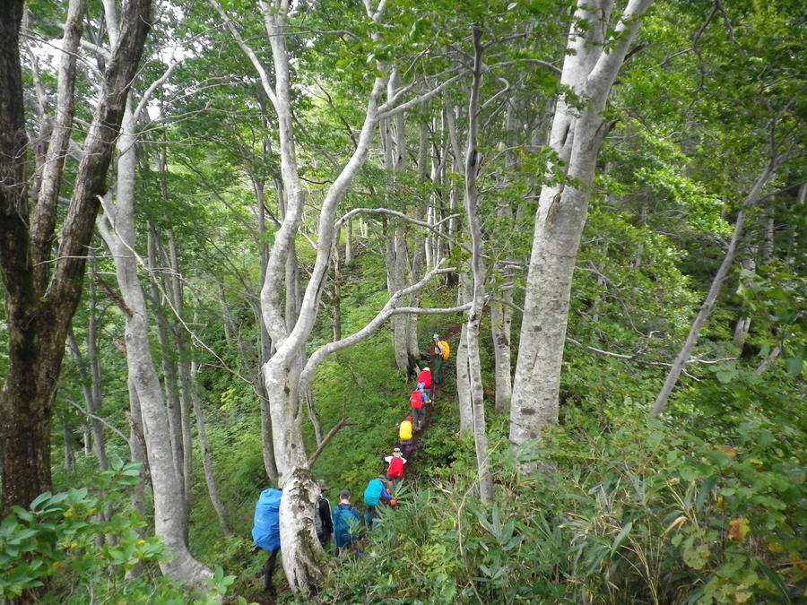 Hikers ( Photo by NPO Shin-etsu Trail Club )