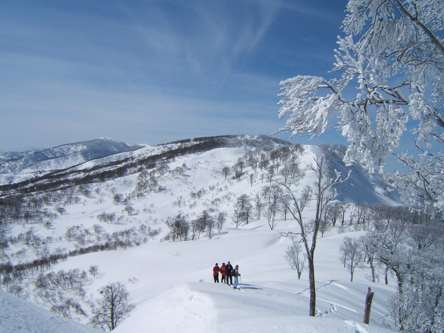 snow-covered ridgeline ( Photo by NPO Shin-etsu Trail Club ) 